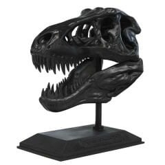 Photocentric UV Basics HD Siyah 3D Yazıcı Reçinesi