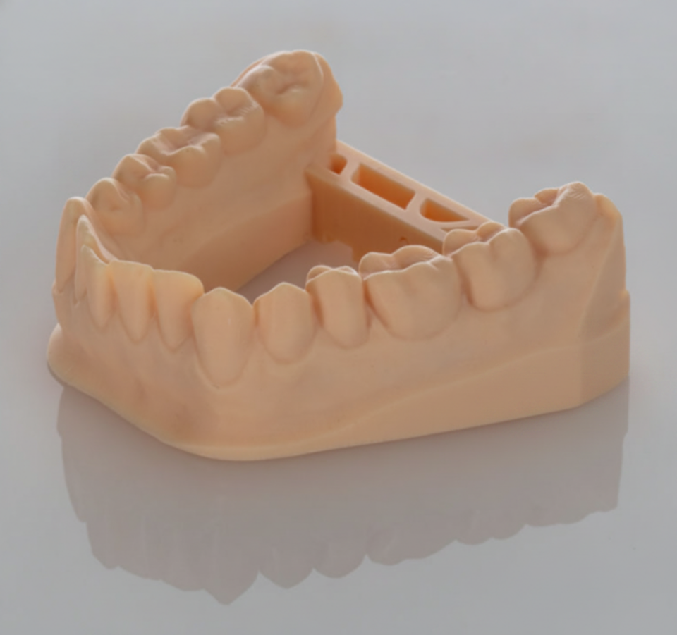 Forward AM DM 2505 Dental Reçine
